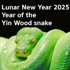 Lunar New Year 2025